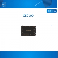 银杏科技全志T113-i GEC100边缘控制器 国产双核ARM A7 百兆网口 GEC100